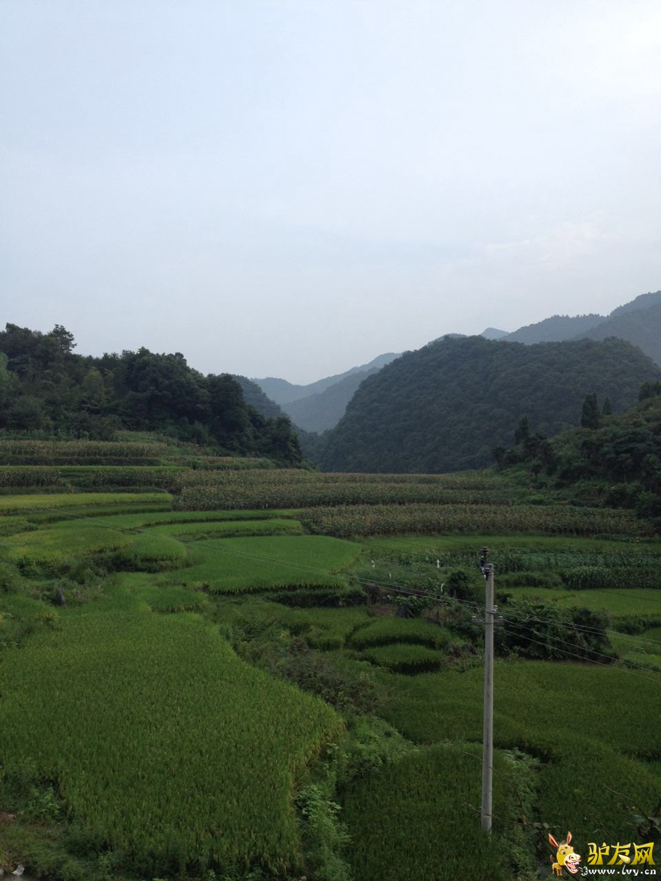 25cdc88fa1c82f44e7cc58bc13aeed73¶ˮ��.jpg